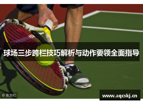 球场三步跨栏技巧解析与动作要领全面指导