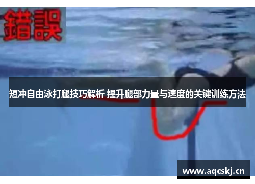短冲自由泳打腿技巧解析 提升腿部力量与速度的关键训练方法