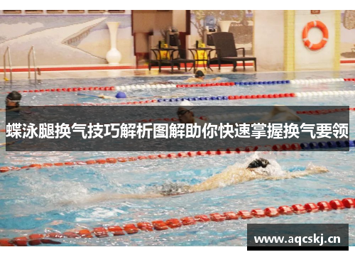 蝶泳腿换气技巧解析图解助你快速掌握换气要领
