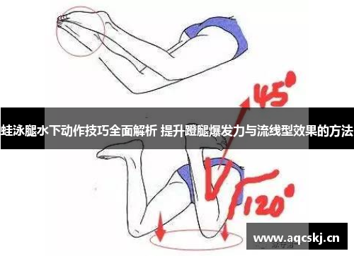 蛙泳腿水下动作技巧全面解析 提升蹬腿爆发力与流线型效果的方法