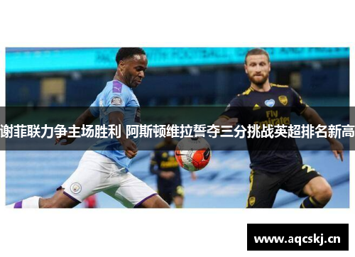 谢菲联力争主场胜利 阿斯顿维拉誓夺三分挑战英超排名新高
